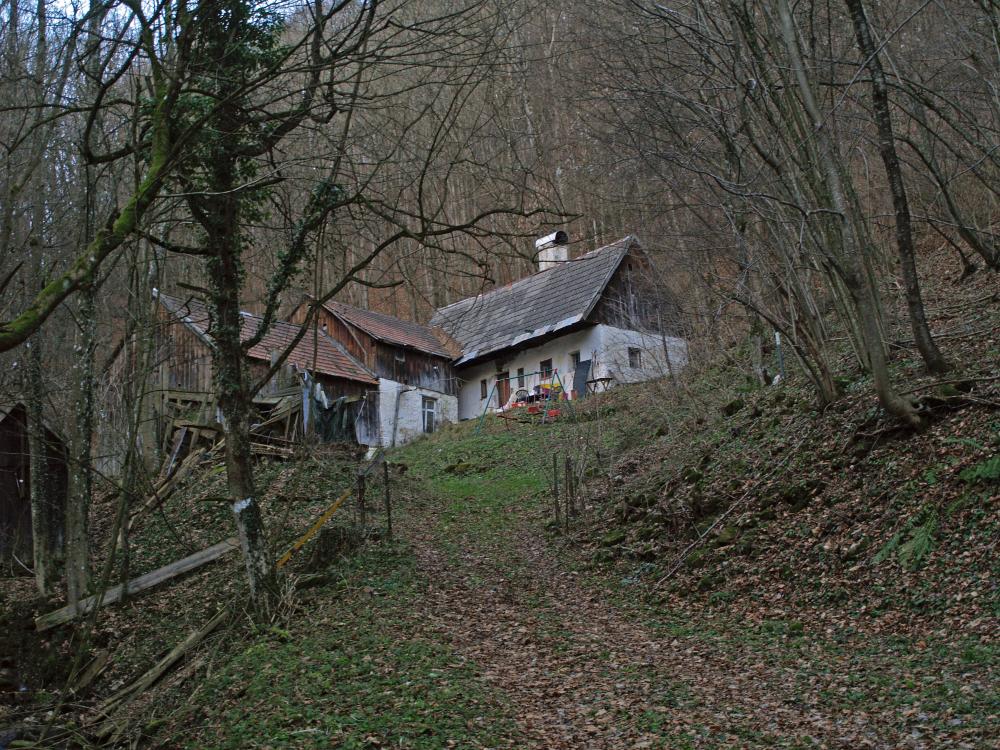 Bichlberg (253 Bildaufrufe)