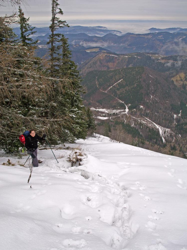 Ötscher (348 Bildaufrufe)