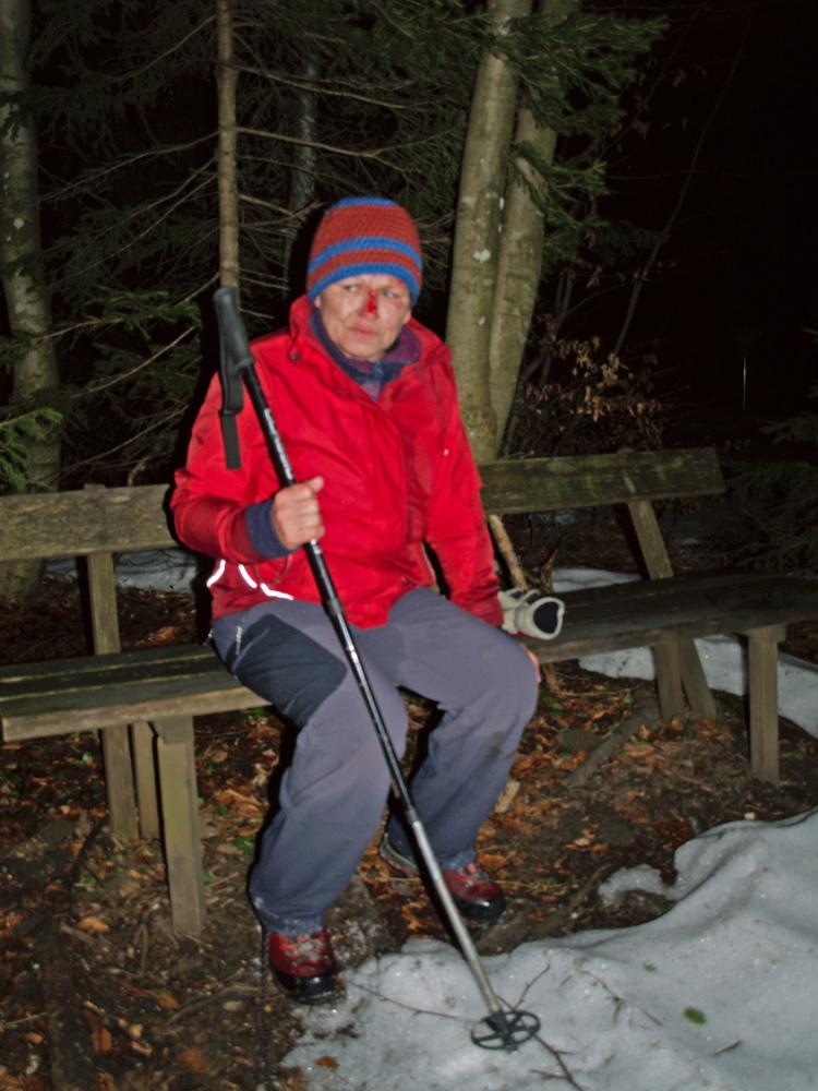Ötscher (390 Bildaufrufe)