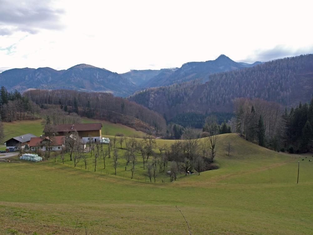 Höhenkote Taschlgraben (275 Bildaufrufe)