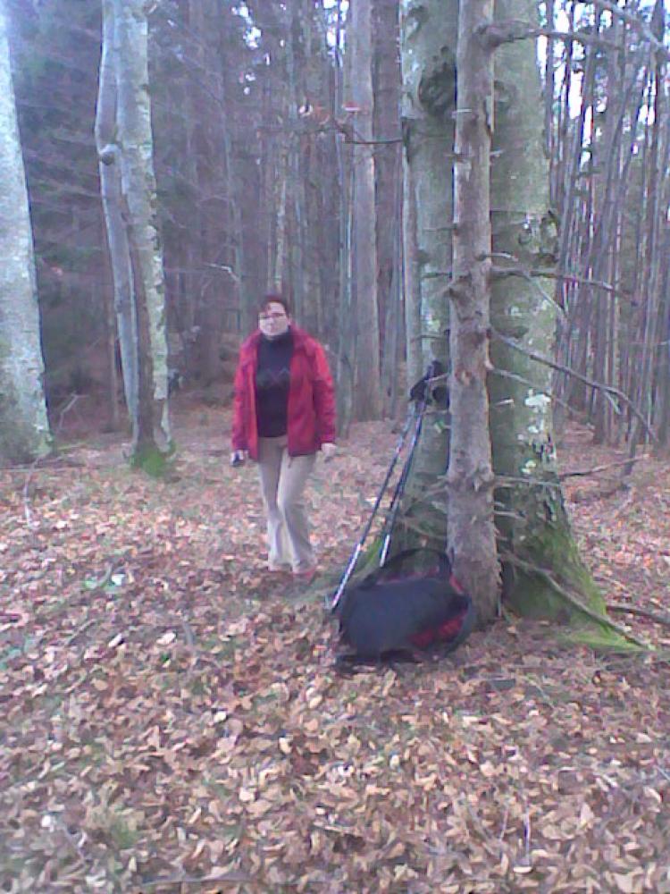 Bretterrieß (281 Bildaufrufe)