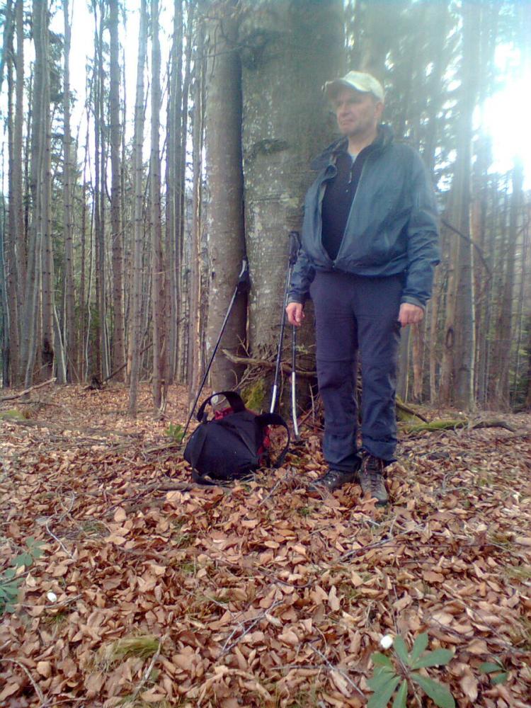 Bretterrieß (248 Bildaufrufe)