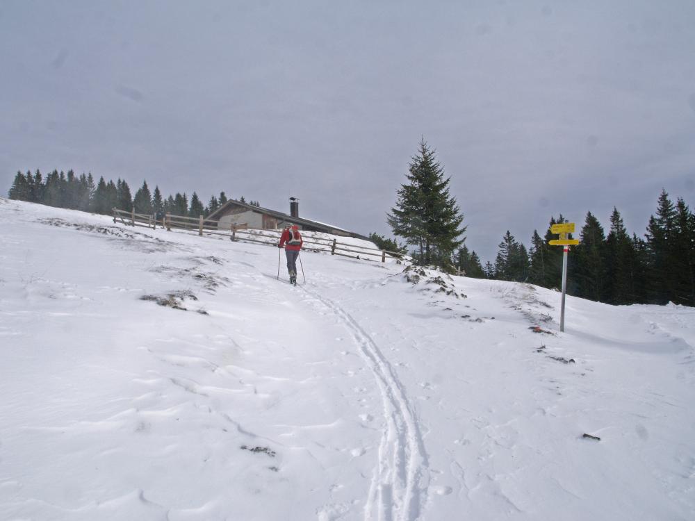 Tirolerkogel (279 Bildaufrufe)