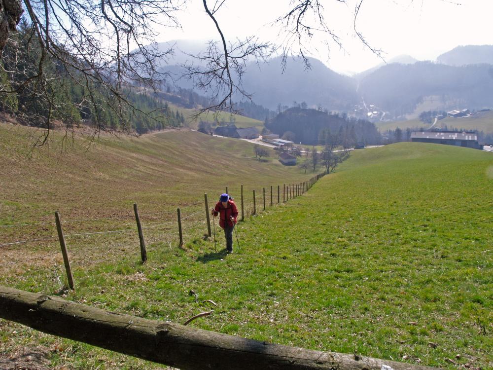 Frankenfelsberg (279 Bildaufrufe)