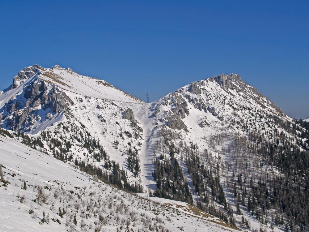 Polster (198 Bildaufrufe)