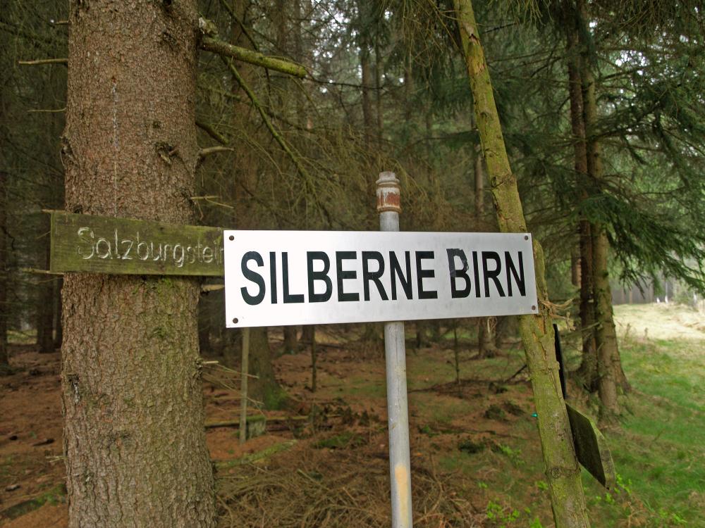 Silberne Birn (307 Bildaufrufe)