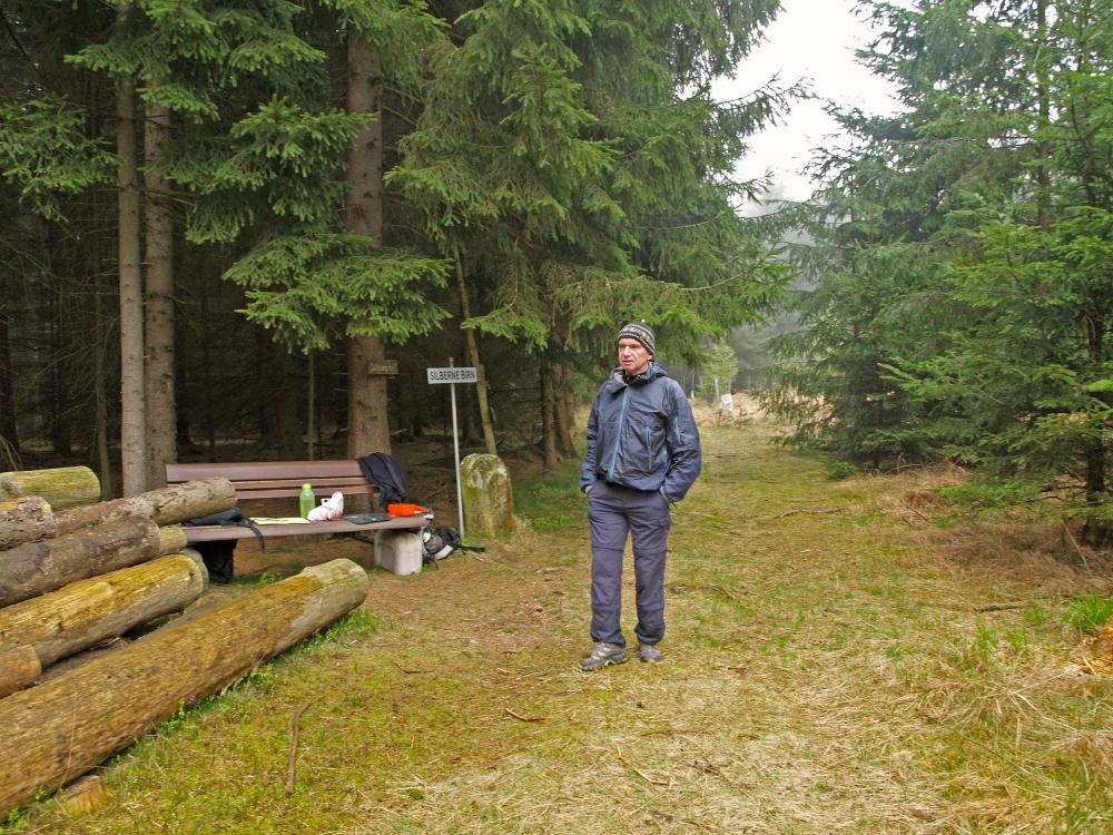 Silberne Birn (240 Bildaufrufe)