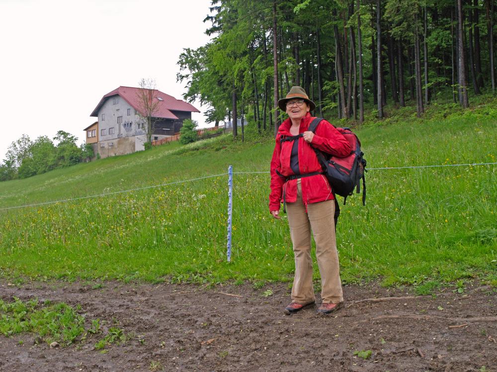 Kaiserkogel (313 Bildaufrufe)
