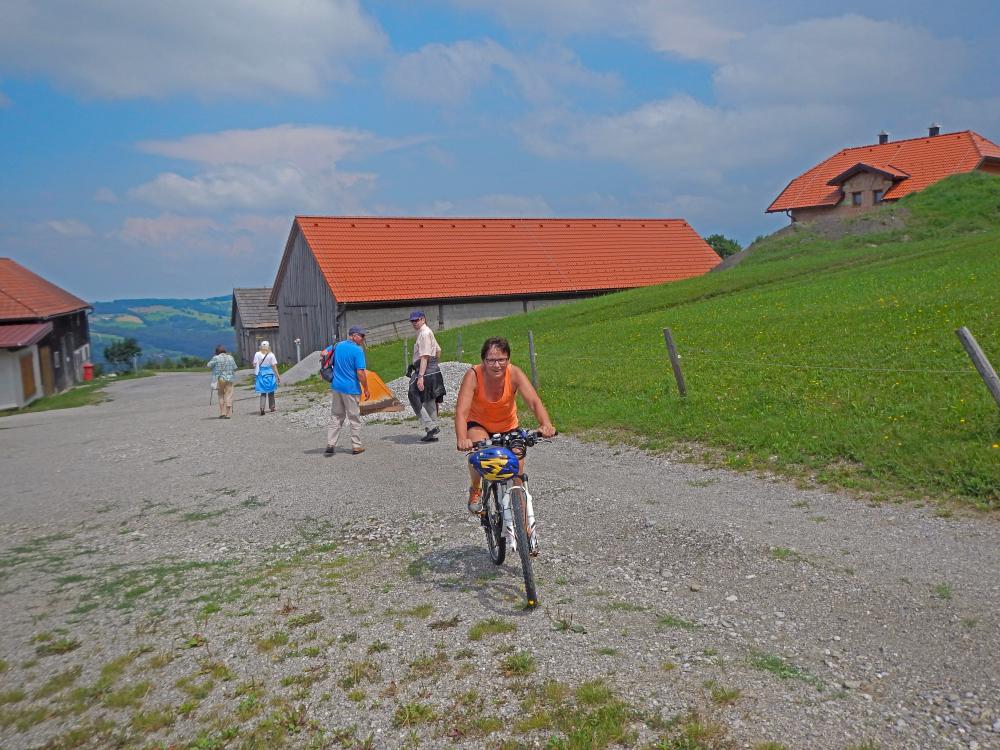 Steinwandleiten (226 Bildaufrufe)