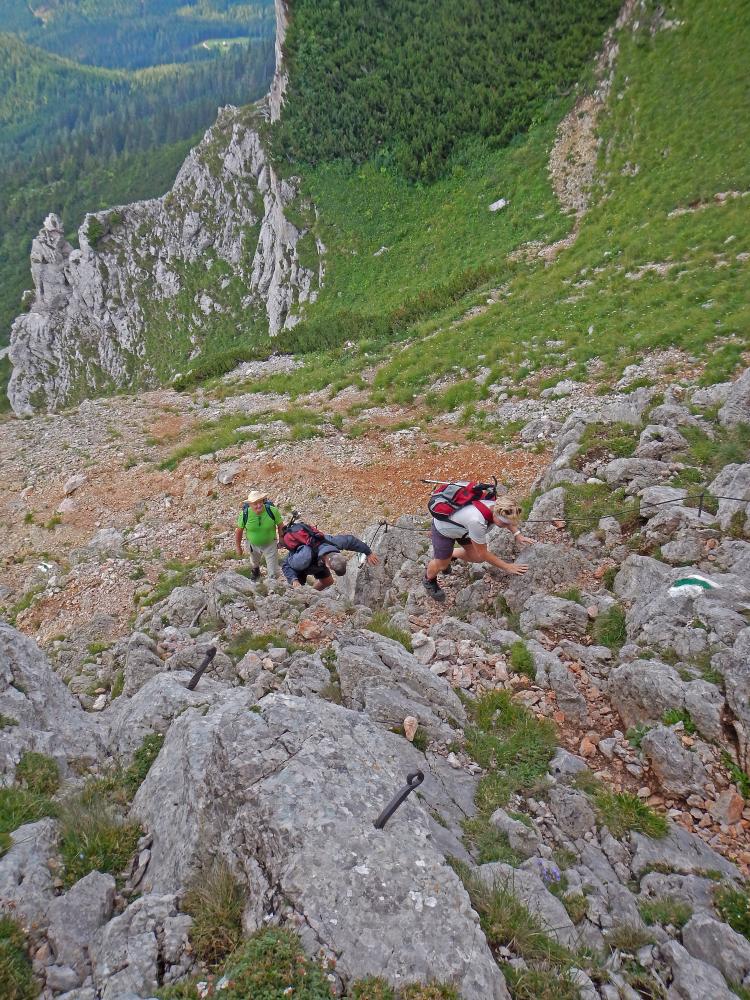Heukuppe (305 Bildaufrufe)
