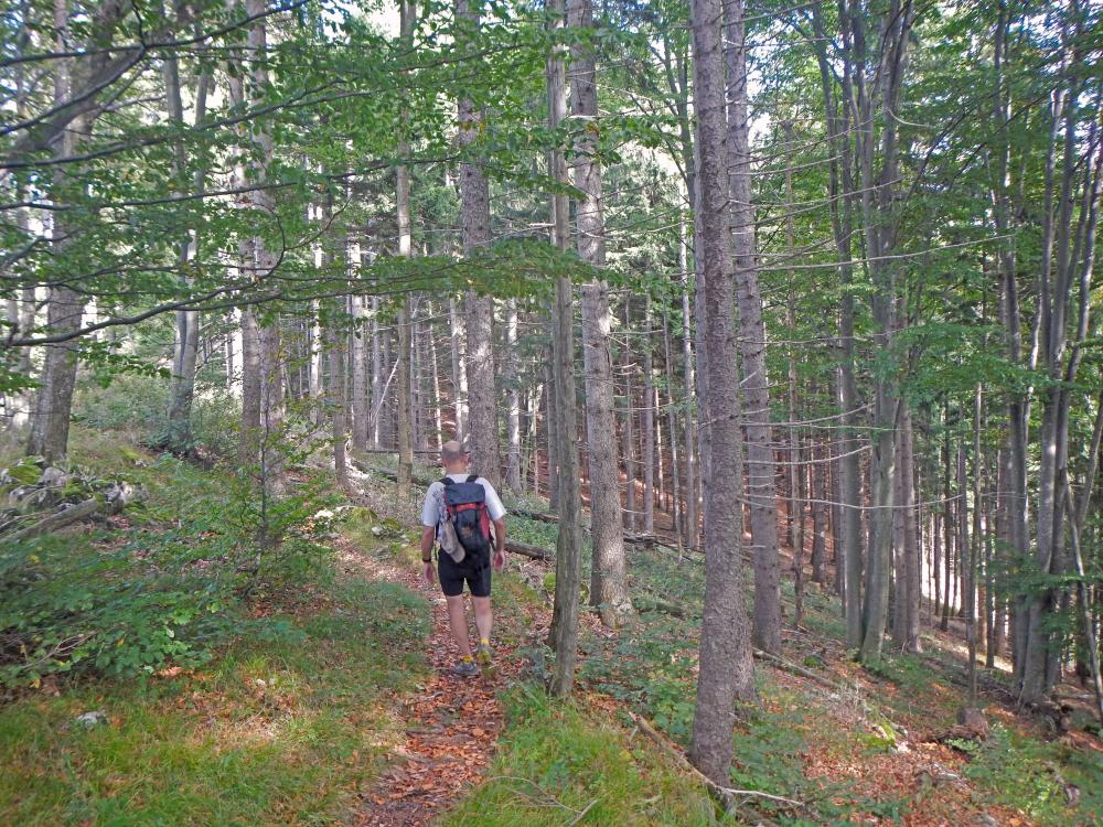 Hohenstein (260 Bildaufrufe)