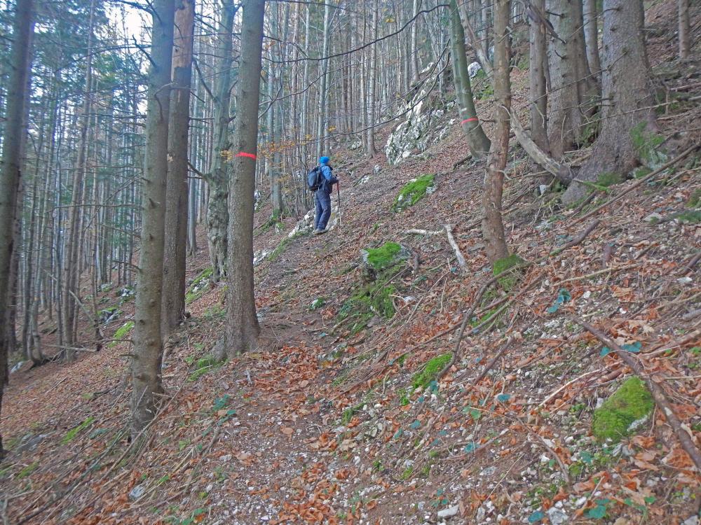 Hoher Stein (276 Bildaufrufe)