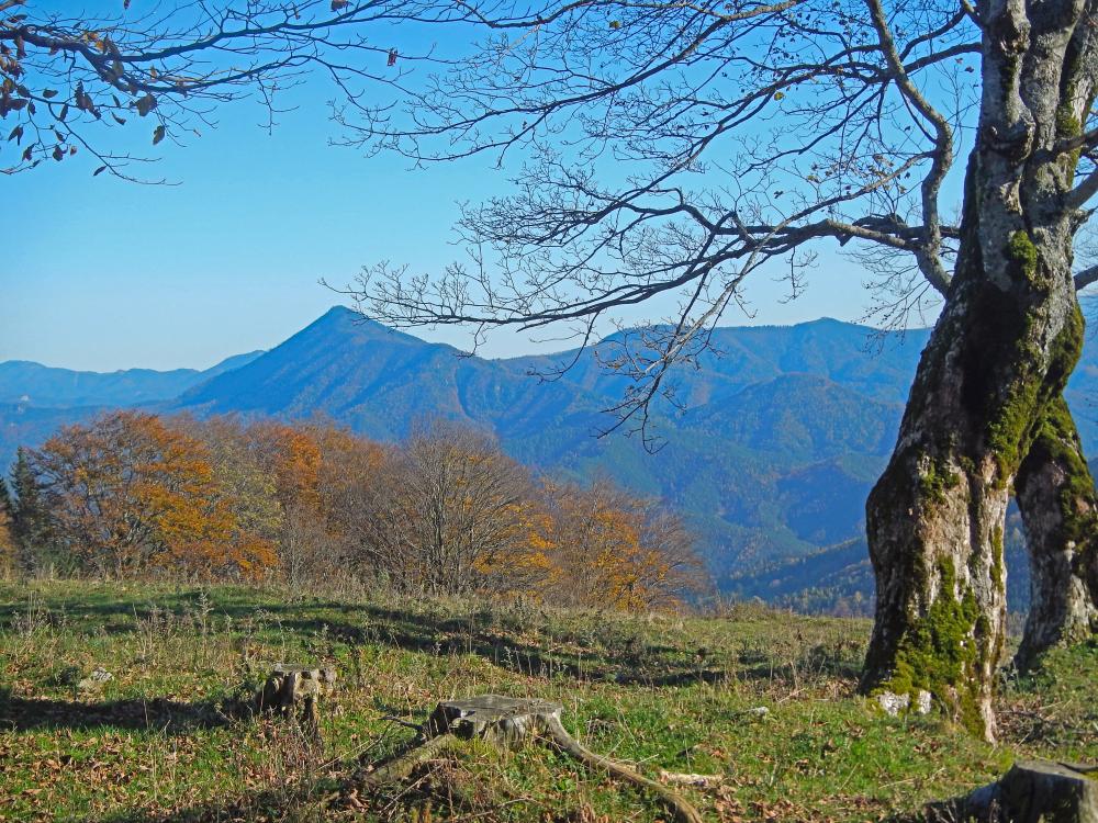 Hoher Stein (257 Bildaufrufe)