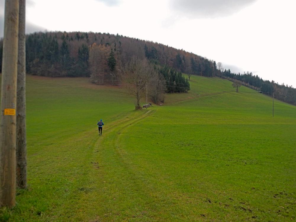 Buchberg (216 Bildaufrufe)