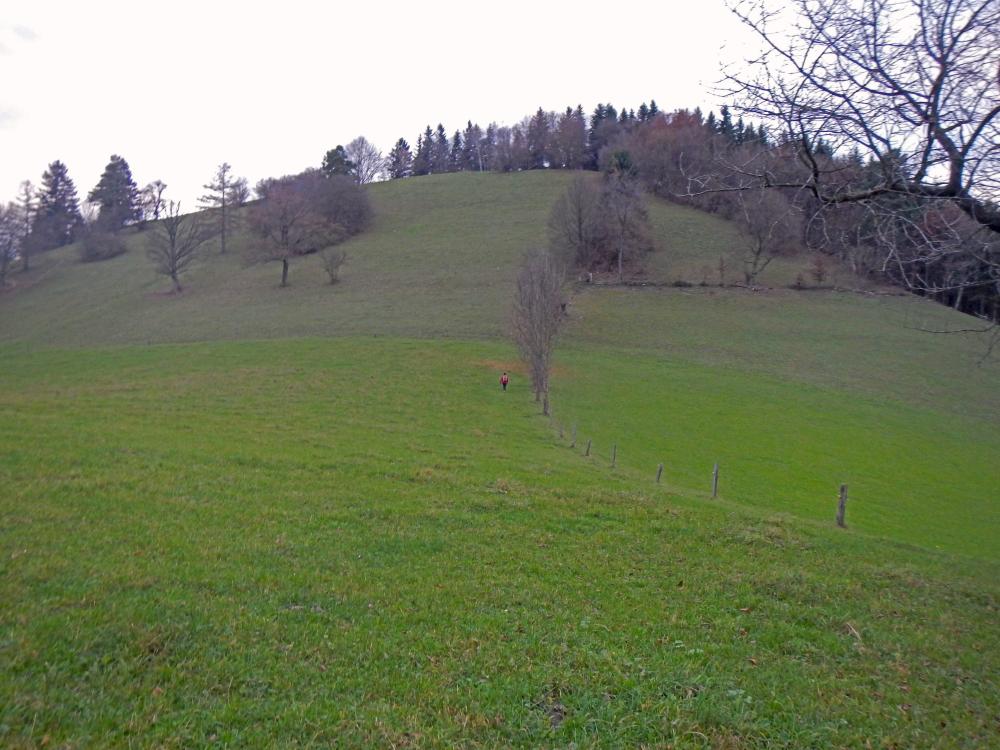 Buchberg (244 Bildaufrufe)
