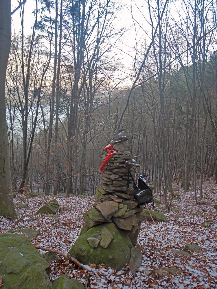 Seekopf (214 Bildaufrufe)