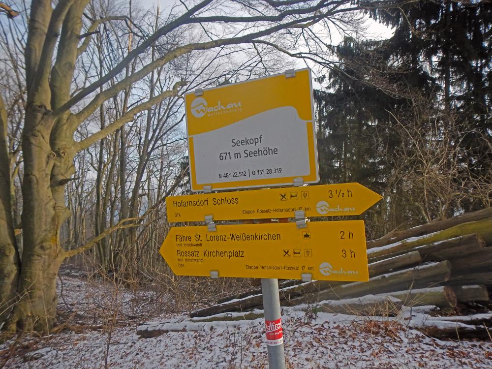 Seekopf (217 Bildaufrufe)