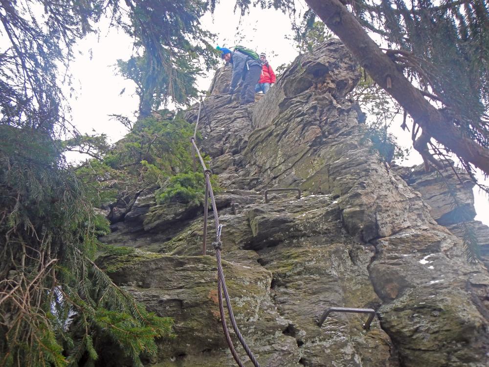 Seekopf (257 Bildaufrufe)