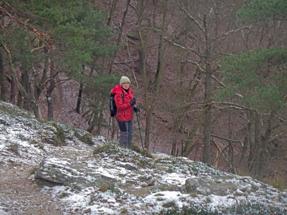 Seekopf (229 Bildaufrufe)