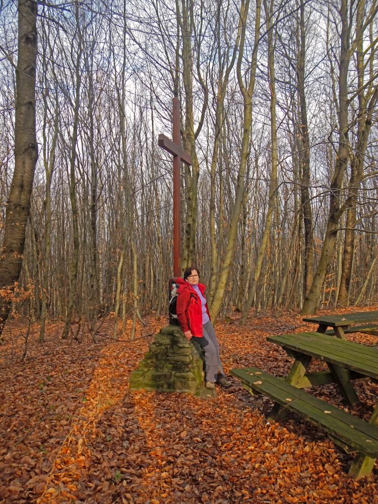 Rudolfshöhe (174 Bildaufrufe)
