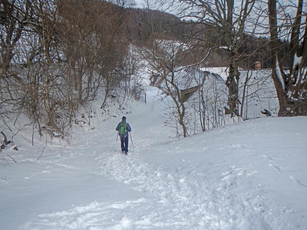 Kaiserkogel (265 Bildaufrufe)