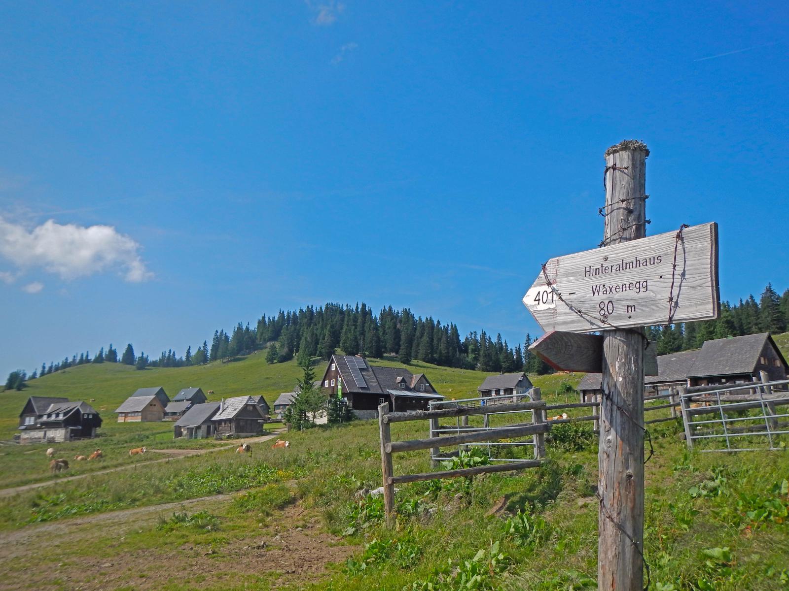 Hoch Waxeneck, Nassköhr (241 Bildaufrufe)