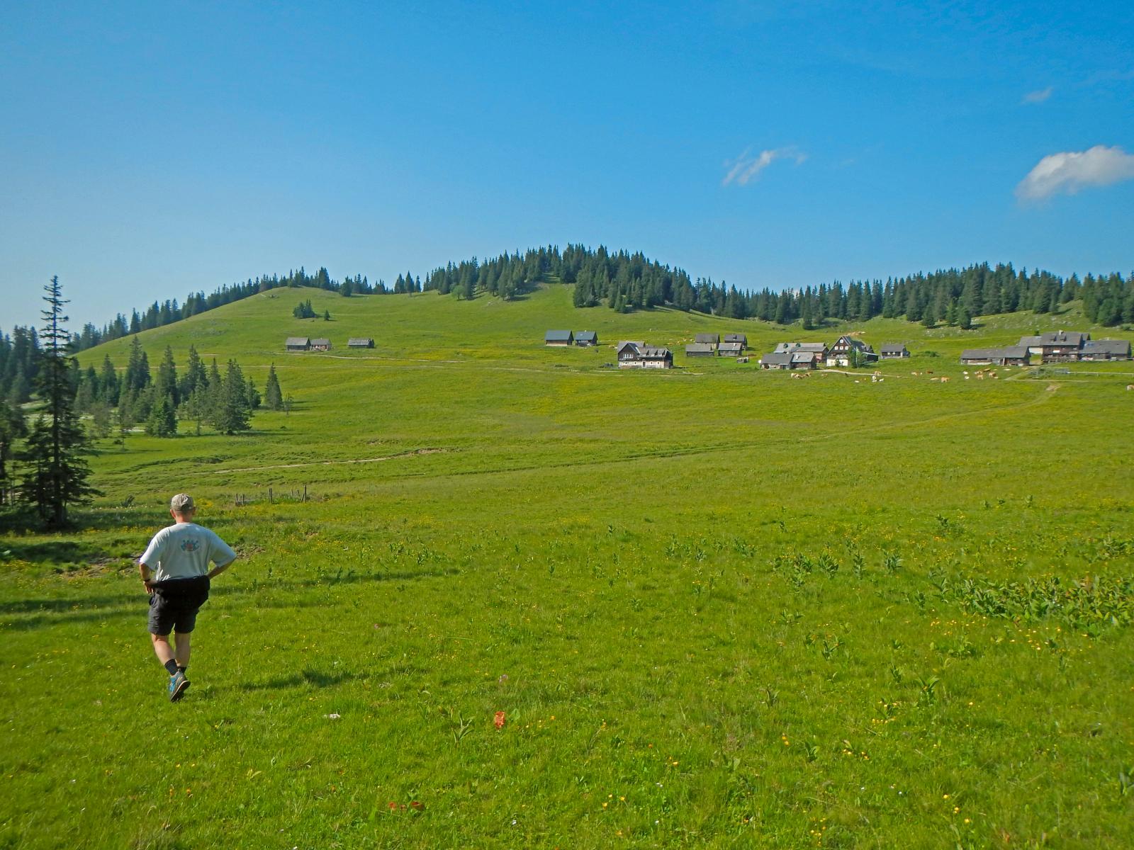 Hoch Waxeneck, Nassköhr (249 Bildaufrufe)