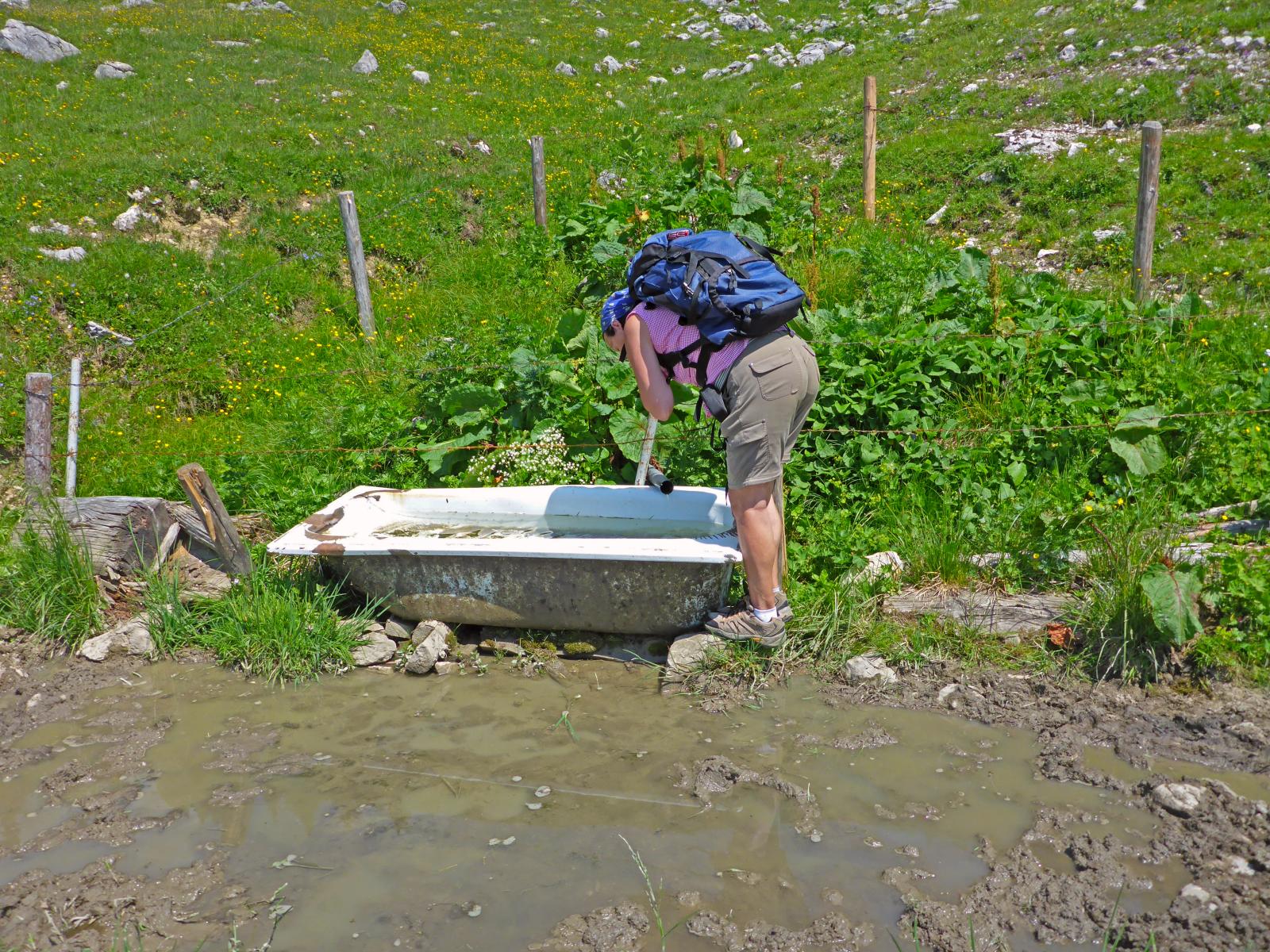 Hoch Waxeneck, Nassköhr (236 Bildaufrufe)