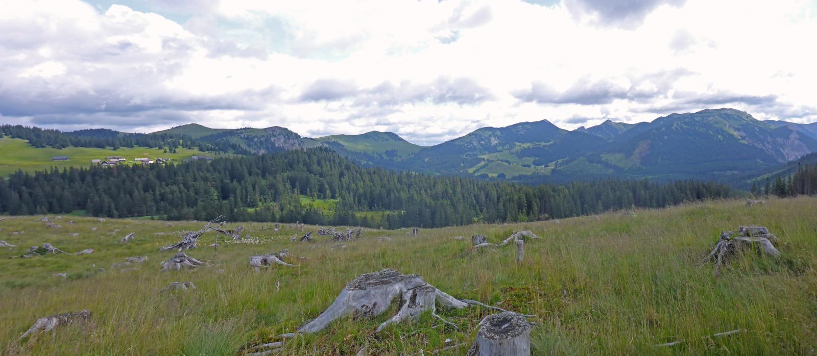 Hoch Waxeneck, Nassköhr (235 Bildaufrufe)
