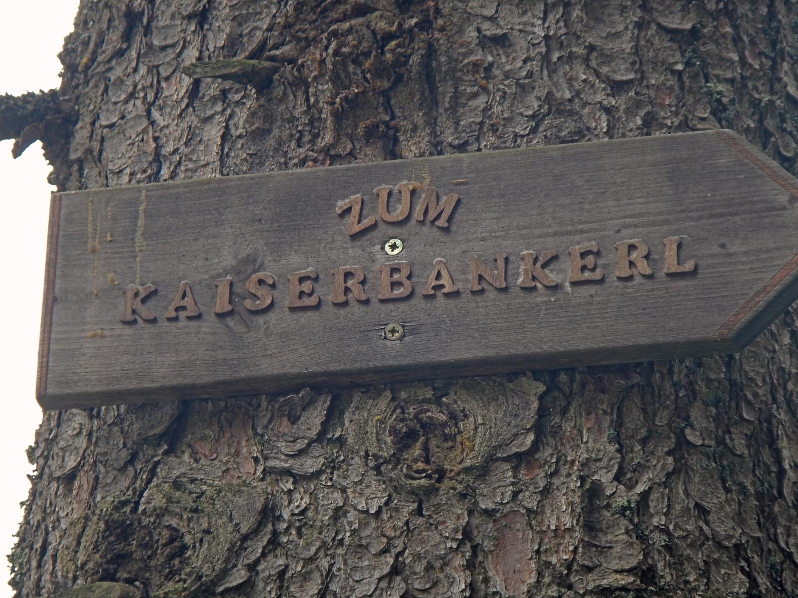 Hoch Waxeneck, Nassköhr (205 Bildaufrufe)