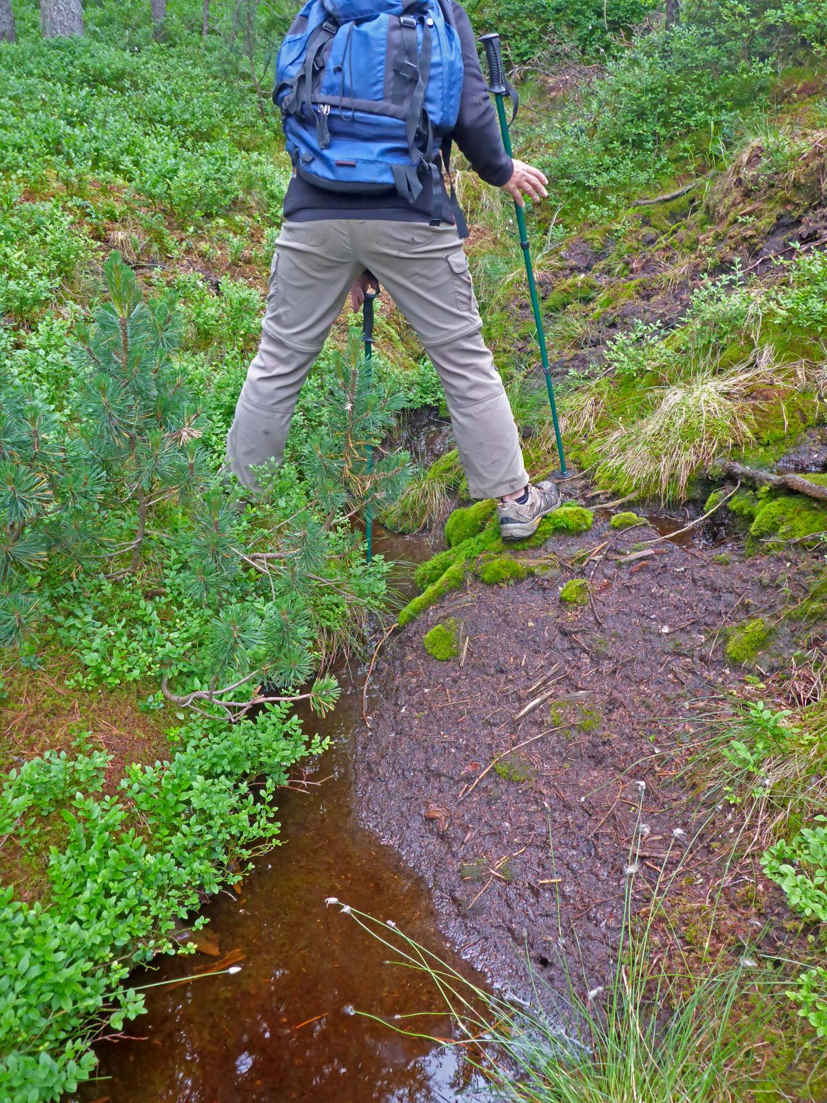 Hoch Waxeneck, Nassköhr (180 Bildaufrufe)