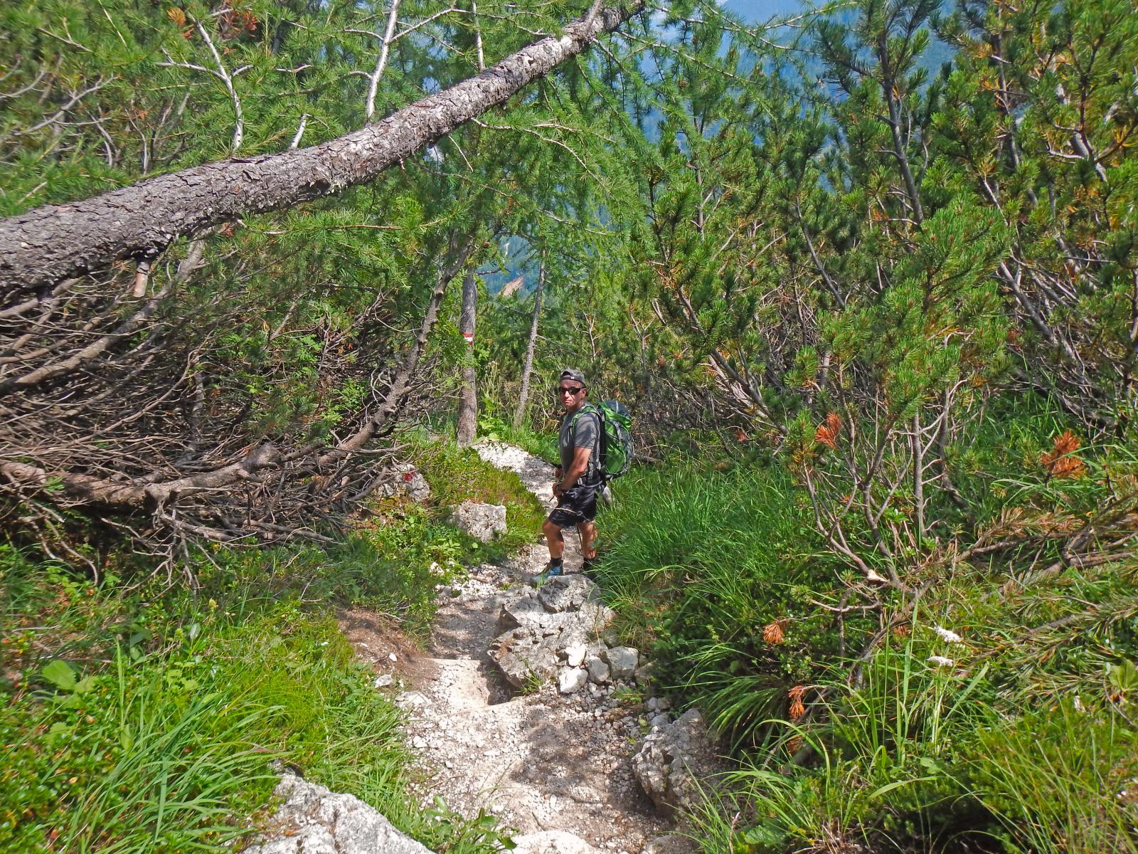 Mittagskogel (257 Bildaufrufe)