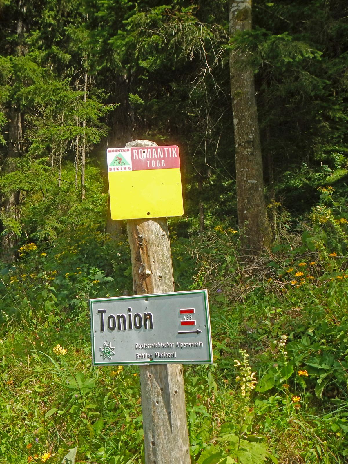 Tonion (262 Bildaufrufe)