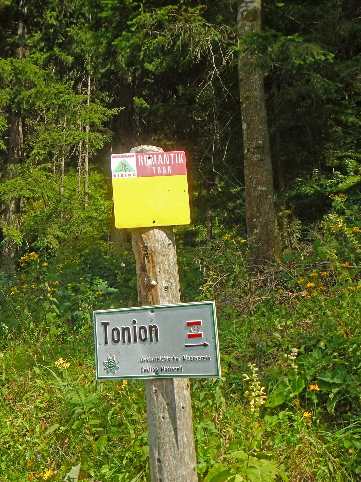 Tonion (253 Bildaufrufe)