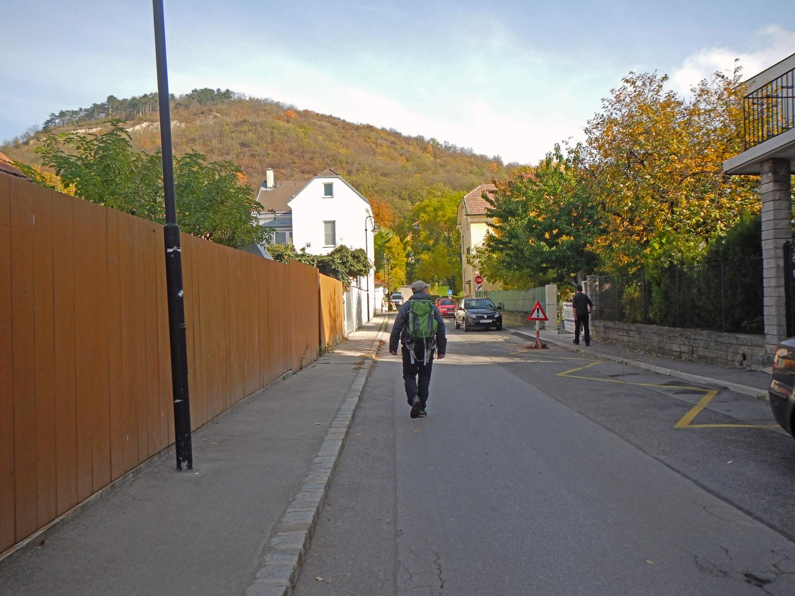 Bisamberg (174 Bildaufrufe)