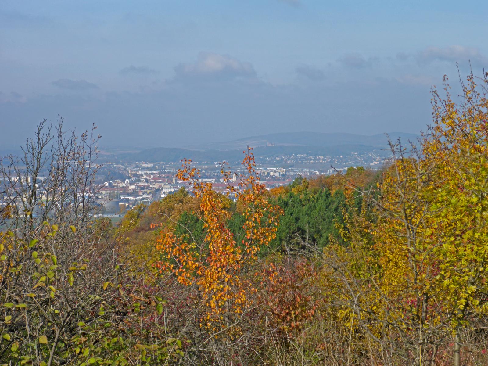 Bisamberg (195 Bildaufrufe)
