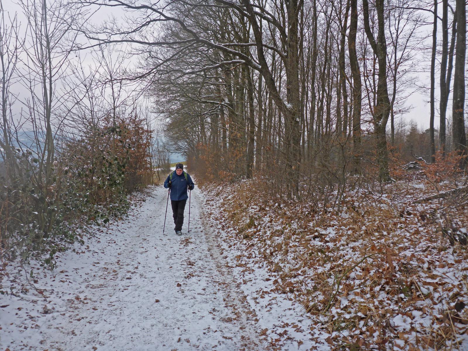 Rudolfshöhe (206 Bildaufrufe)