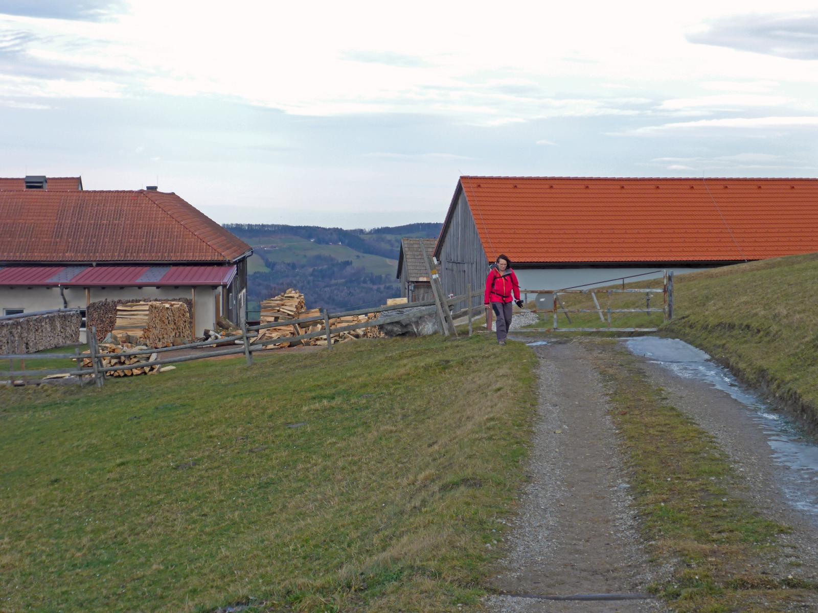 Steinwandleiten (155 Bildaufrufe)