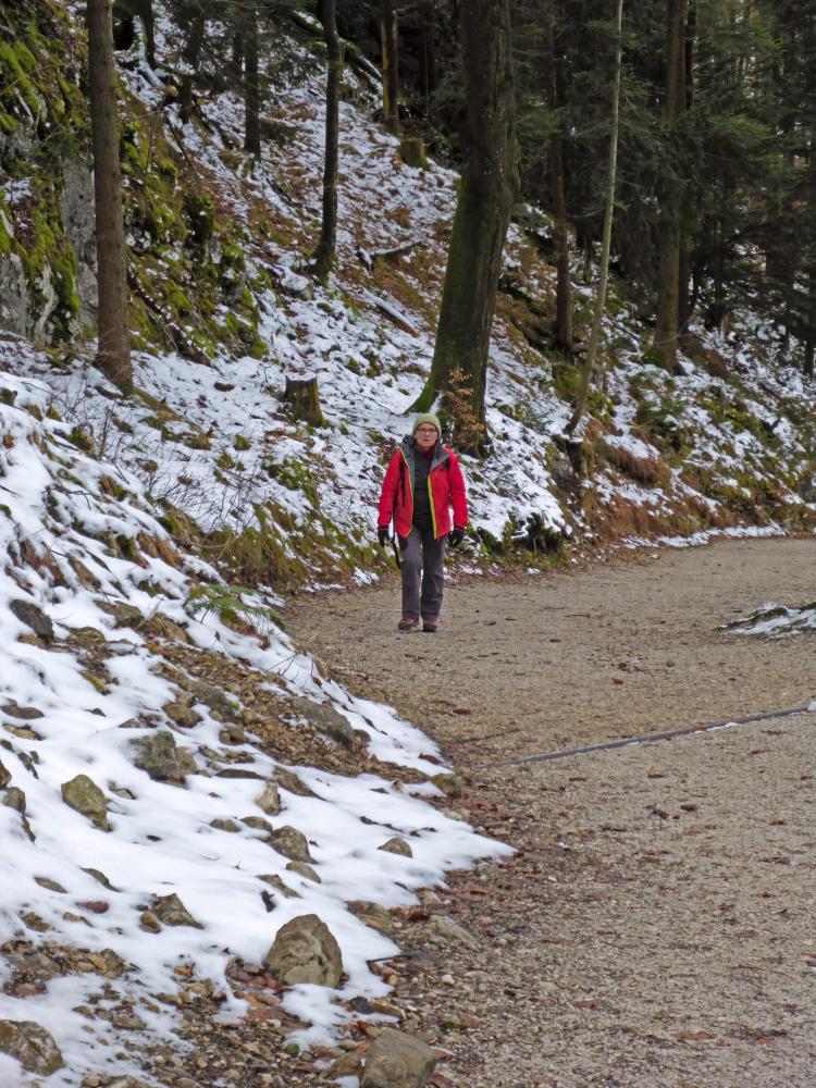 Falkenwand (202 Bildaufrufe)