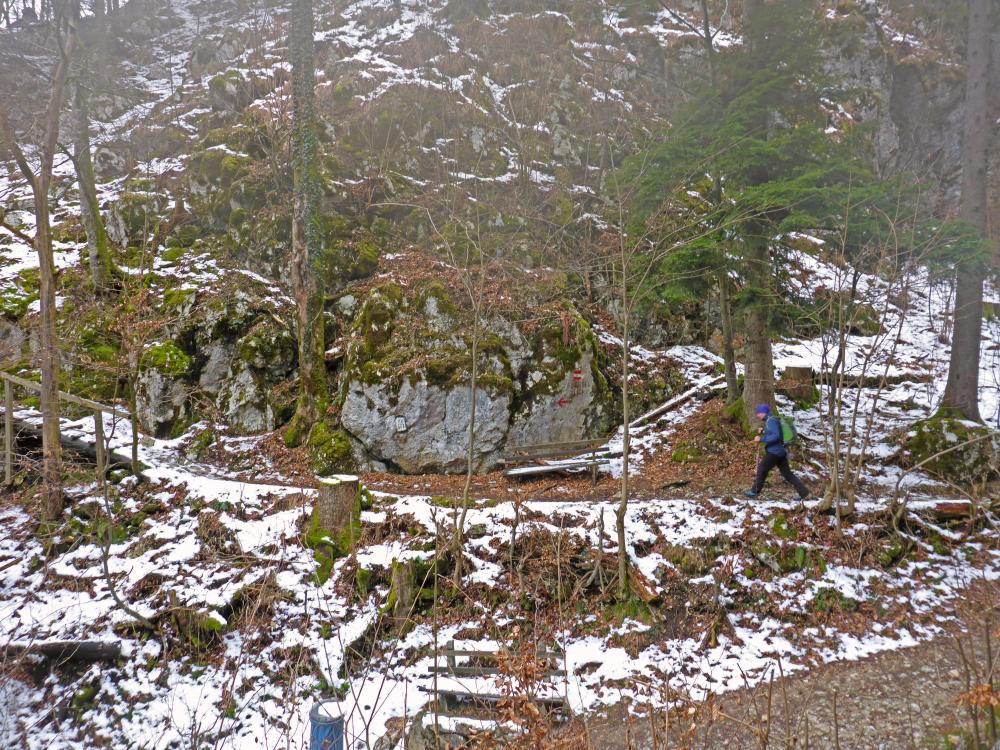 Falkenwand (160 Bildaufrufe)