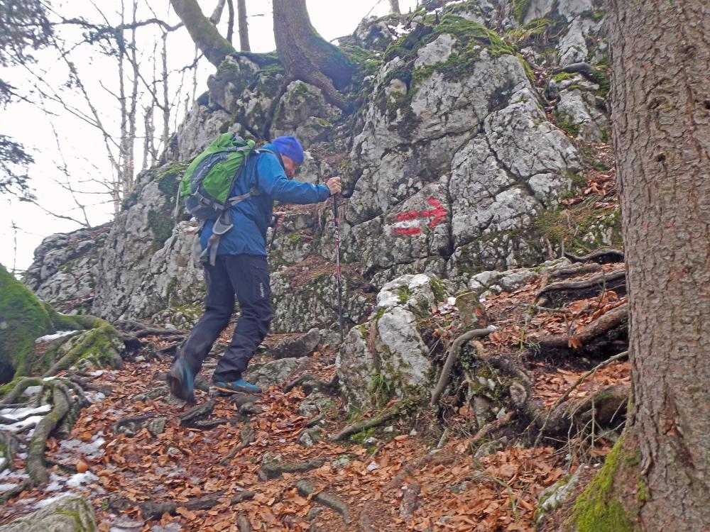 Falkenwand (160 Bildaufrufe)