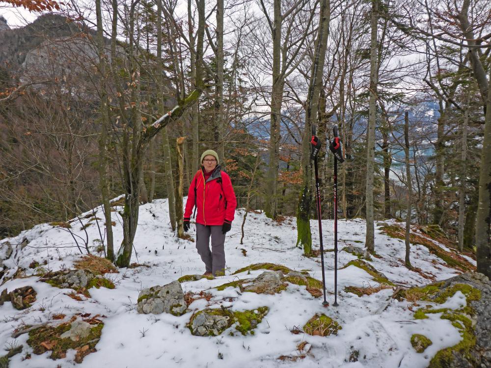 Falkenwand (175 Bildaufrufe)