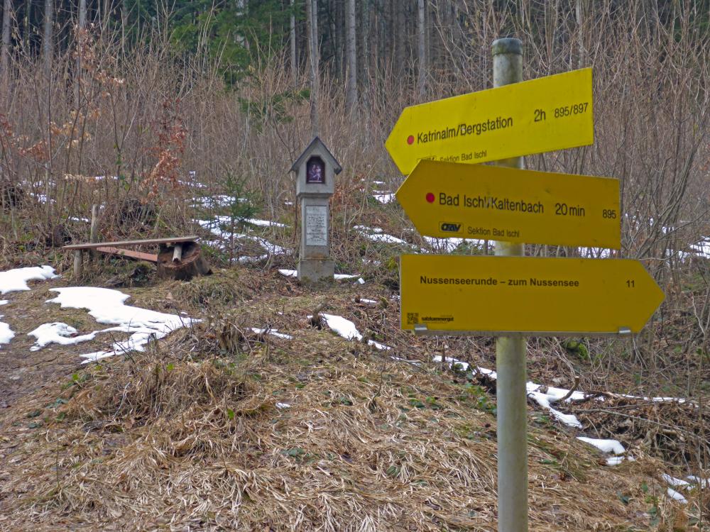 Ruine Wildenstein (223 Bildaufrufe)
