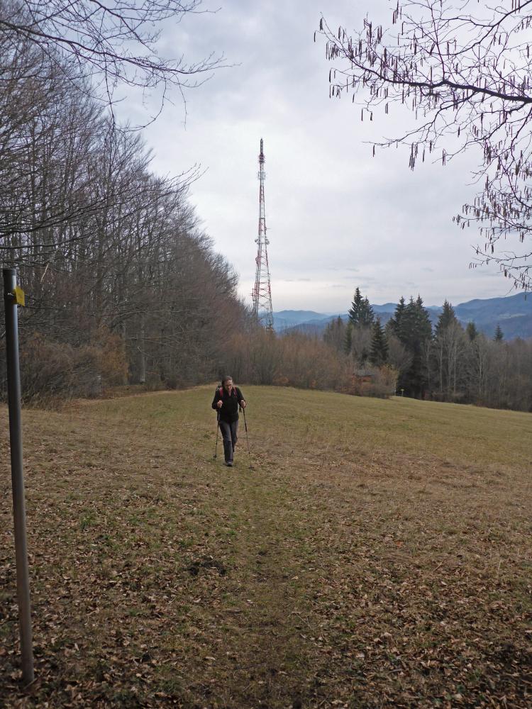 Tarschberg (222 Bildaufrufe)
