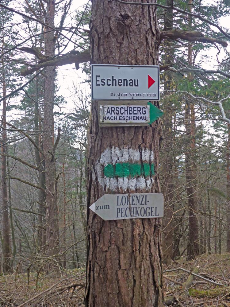 Tarschberg (216 Bildaufrufe)