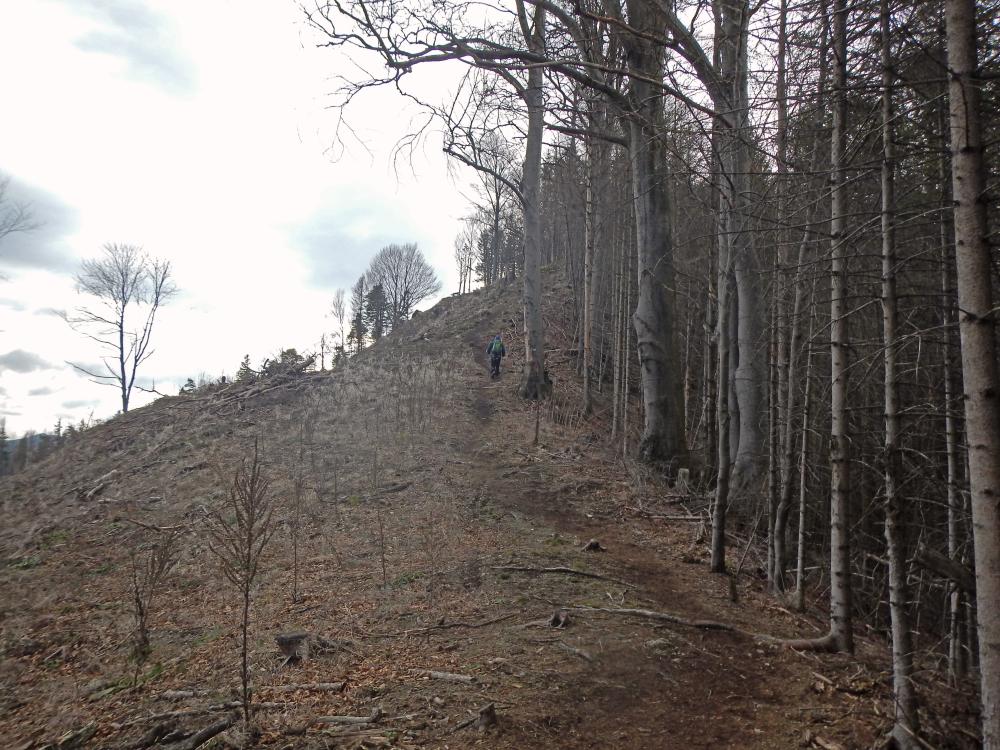 Tarschberg (234 Bildaufrufe)
