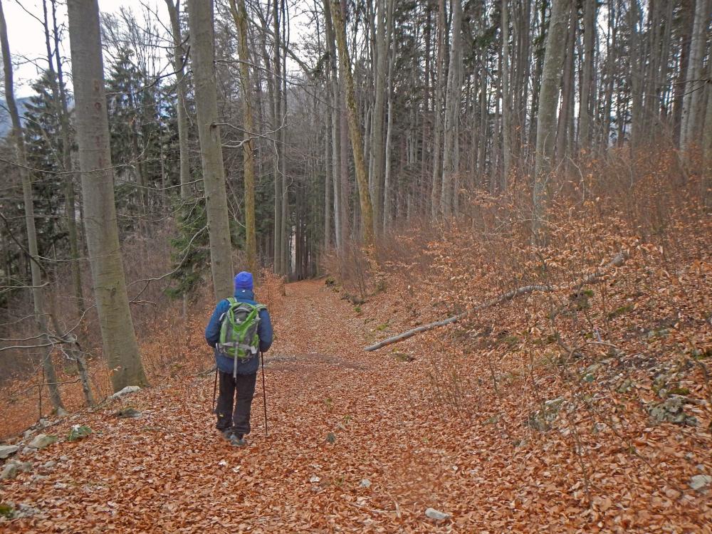 Tarschberg (186 Bildaufrufe)