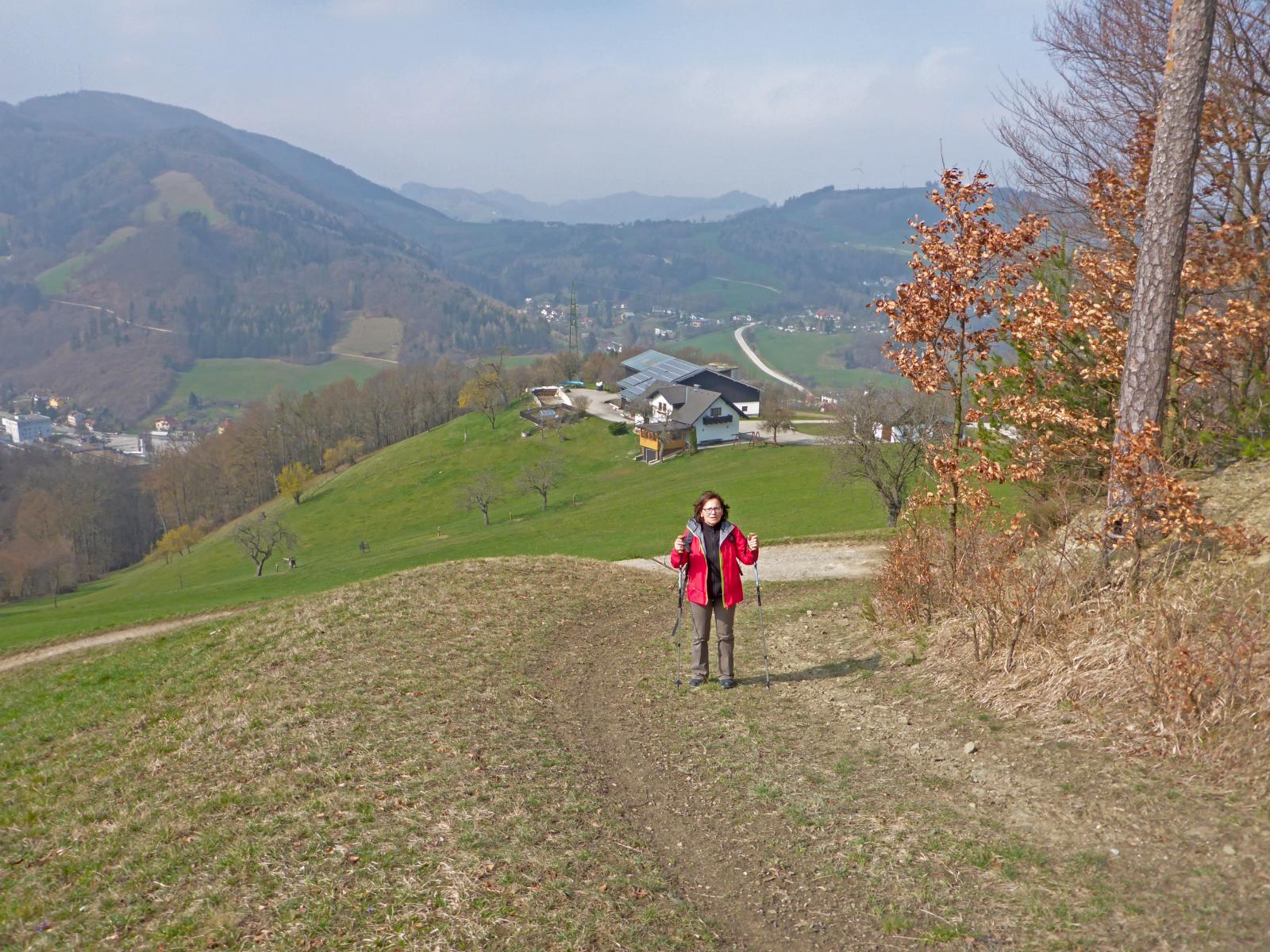 Hadeggerkogel (226 Bildaufrufe)