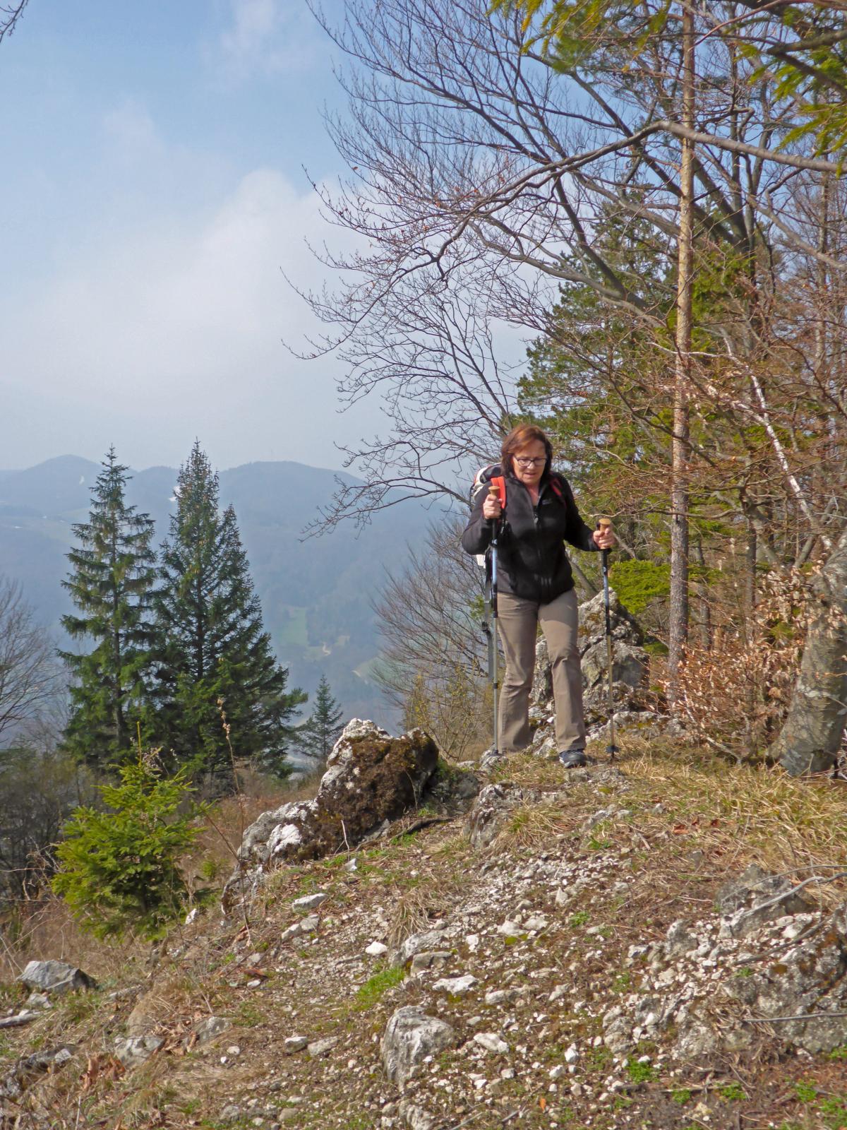 Hadeggerkogel (205 Bildaufrufe)