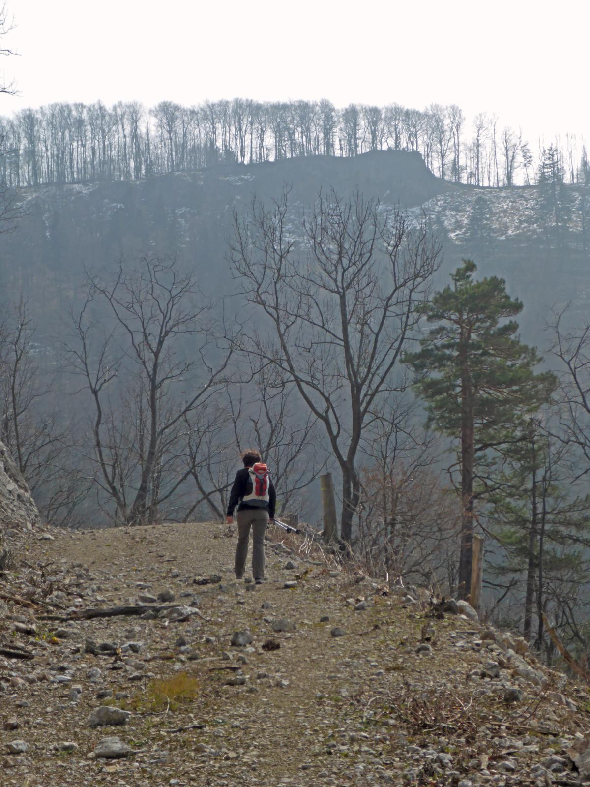 Hadeggerkogel (225 Bildaufrufe)